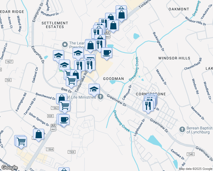 map of restaurants, bars, coffee shops, grocery stores, and more near 100 Frederick Drive in Lynchburg