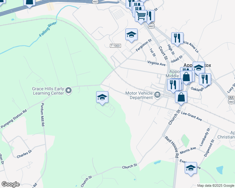map of restaurants, bars, coffee shops, grocery stores, and more near 176 Kids Place in Appomattox