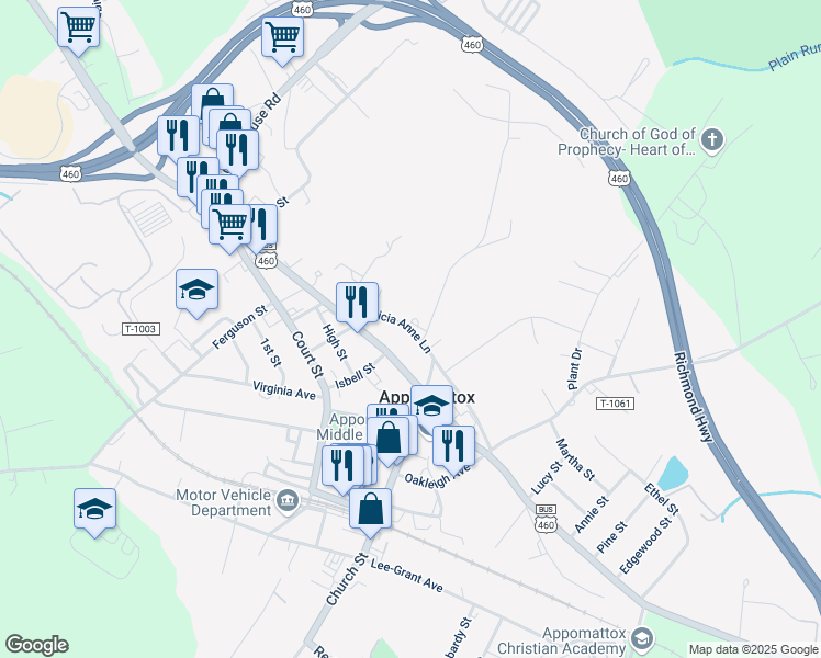 map of restaurants, bars, coffee shops, grocery stores, and more near 425 Patricia Anne Ln in Appomattox