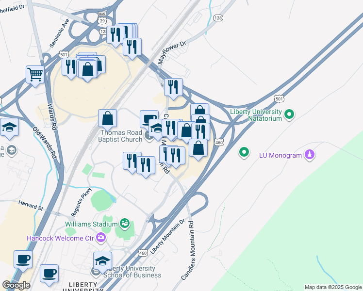map of restaurants, bars, coffee shops, grocery stores, and more near 124 Montview Forest Drive in Lynchburg