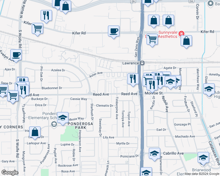 map of restaurants, bars, coffee shops, grocery stores, and more near 1042 Reed Terrace in Sunnyvale
