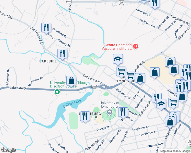 map of restaurants, bars, coffee shops, grocery stores, and more near 540 Monticello Avenue in Lynchburg