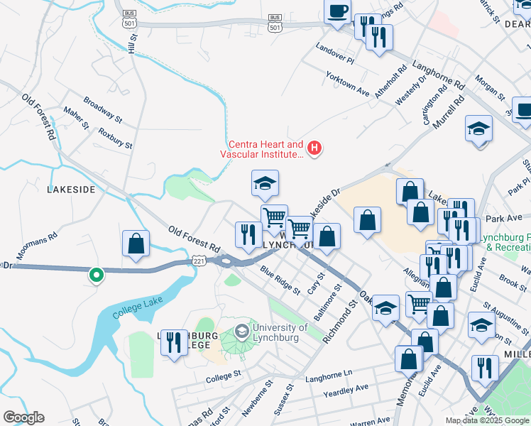 map of restaurants, bars, coffee shops, grocery stores, and more near 401 Monticello Avenue in Lynchburg