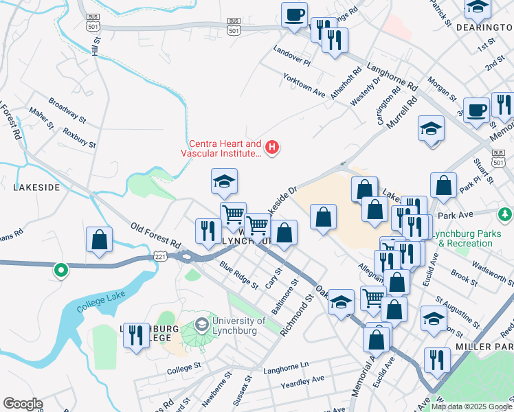 map of restaurants, bars, coffee shops, grocery stores, and more near 1009 Bristol Street in Lynchburg