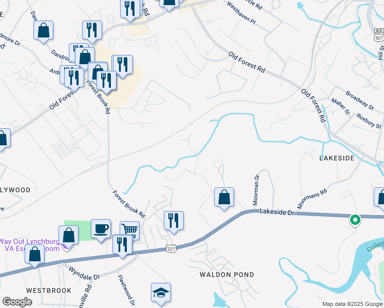 map of restaurants, bars, coffee shops, grocery stores, and more near 101 Brenleigh Court in Lynchburg