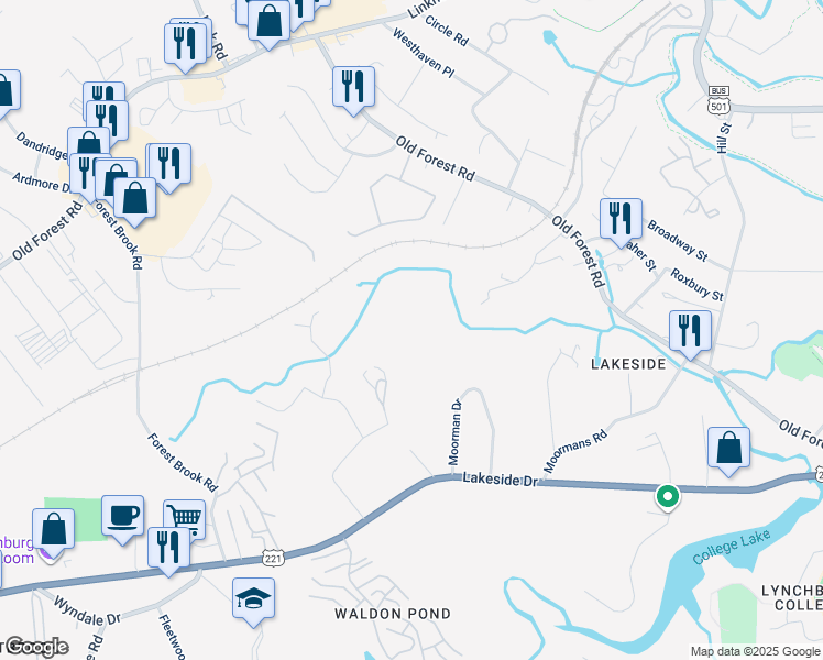map of restaurants, bars, coffee shops, grocery stores, and more near 240 Lemon Drive in Lynchburg
