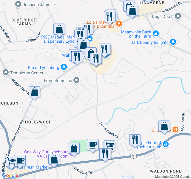 map of restaurants, bars, coffee shops, grocery stores, and more near 103 Holmes Circle in Lynchburg