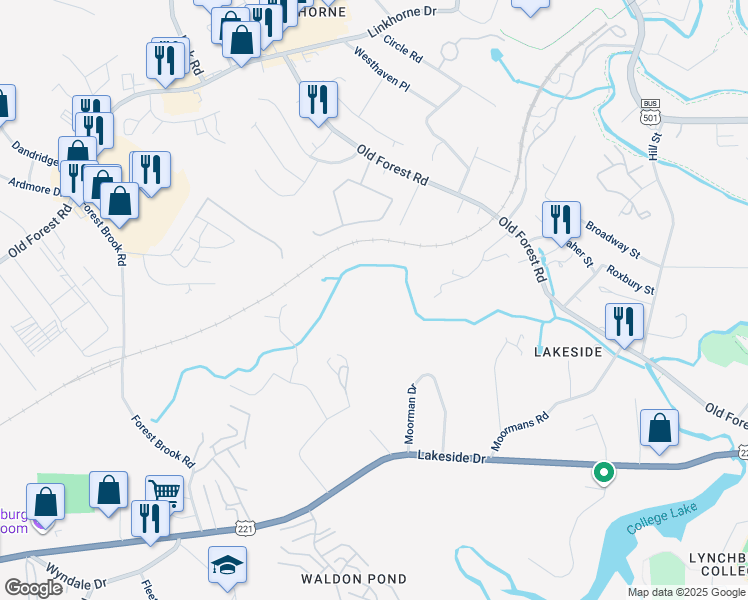 map of restaurants, bars, coffee shops, grocery stores, and more near 240 Lemon Drive in Lynchburg