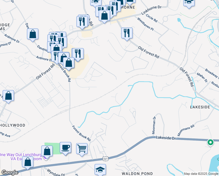 map of restaurants, bars, coffee shops, grocery stores, and more near 205 Adam Place in Lynchburg
