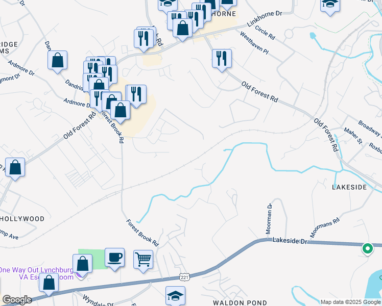 map of restaurants, bars, coffee shops, grocery stores, and more near 203 Adam Place in Lynchburg