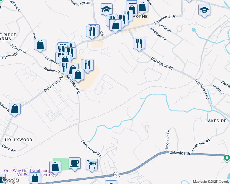 map of restaurants, bars, coffee shops, grocery stores, and more near 309 Belle Terre Drive in Lynchburg