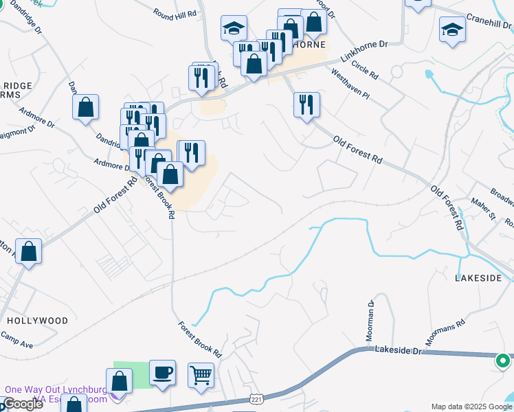 map of restaurants, bars, coffee shops, grocery stores, and more near 302 Belle Terre Drive in Lynchburg