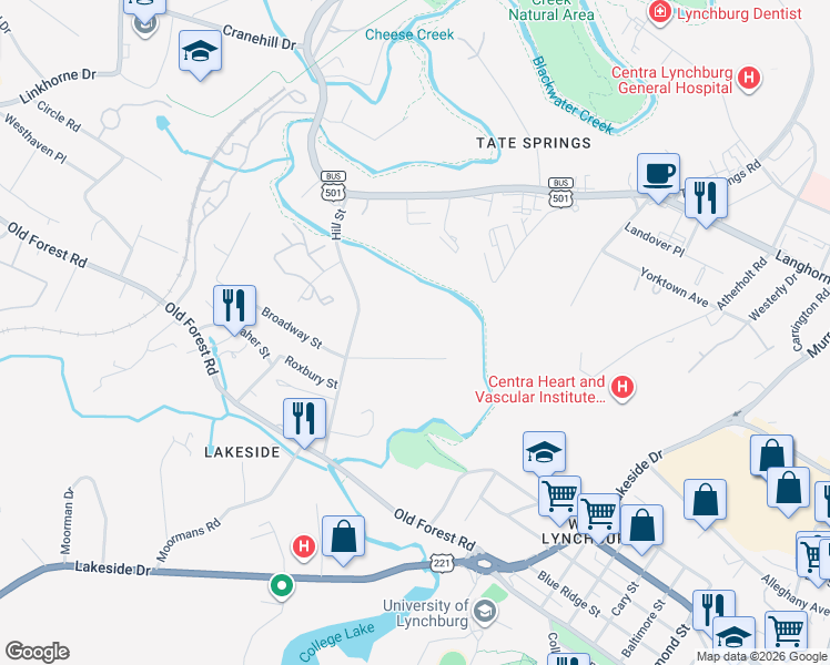 map of restaurants, bars, coffee shops, grocery stores, and more near 3008 Hill Street in Lynchburg