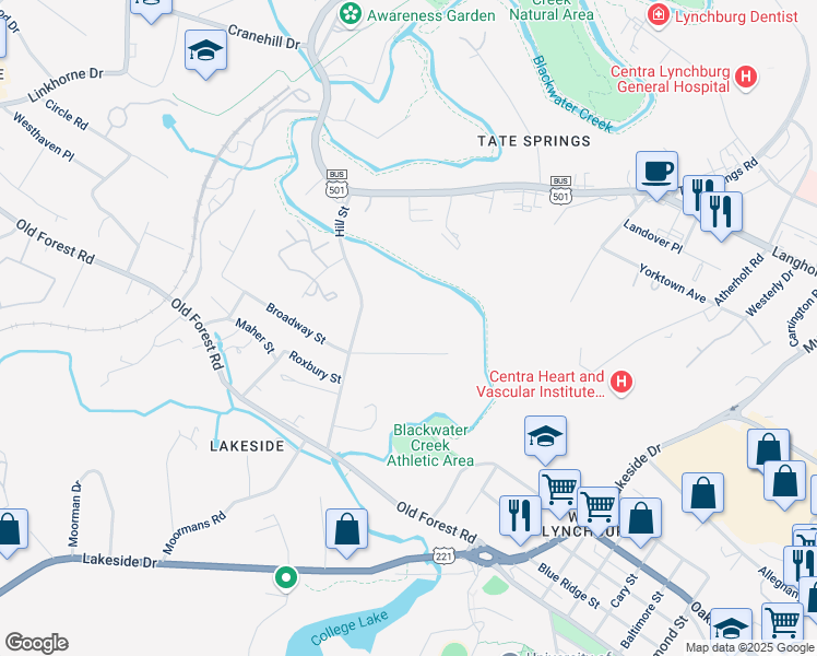 map of restaurants, bars, coffee shops, grocery stores, and more near 3008 Hill Street in Lynchburg