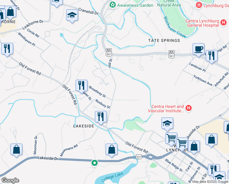 map of restaurants, bars, coffee shops, grocery stores, and more near 2900 Hill Street in Lynchburg