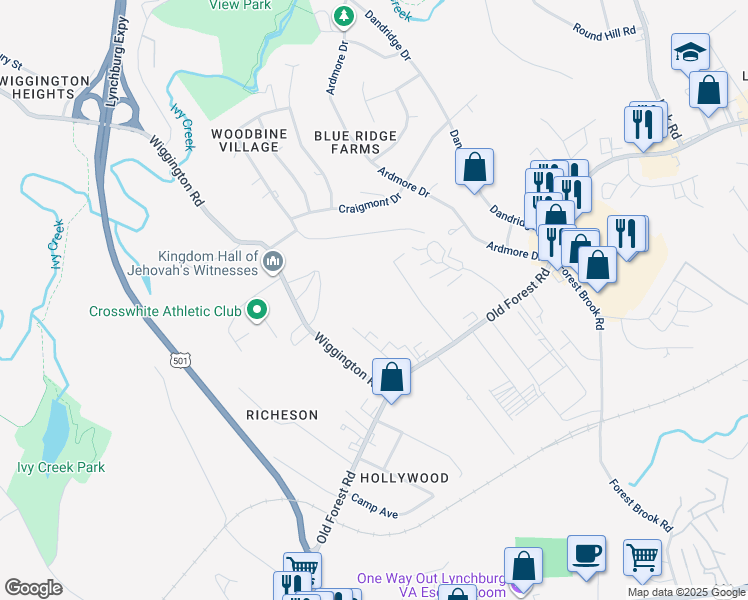 map of restaurants, bars, coffee shops, grocery stores, and more near 100 Lytton Street in Lynchburg