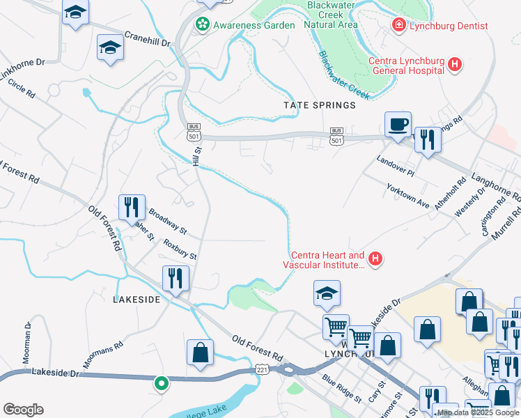 map of restaurants, bars, coffee shops, grocery stores, and more near 2820 Hill Street in Lynchburg