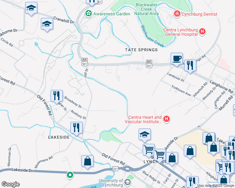 map of restaurants, bars, coffee shops, grocery stores, and more near 2820 Hill Street in Lynchburg