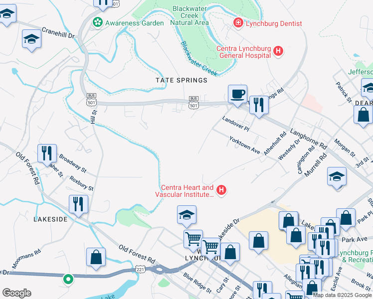 map of restaurants, bars, coffee shops, grocery stores, and more near 2425 Tate Springs Road in Lynchburg