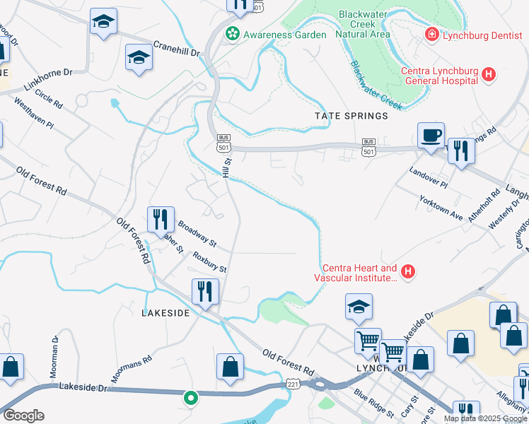 map of restaurants, bars, coffee shops, grocery stores, and more near 3008 Hill Street in Lynchburg