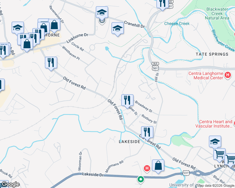 map of restaurants, bars, coffee shops, grocery stores, and more near 2937 Center Street in Lynchburg
