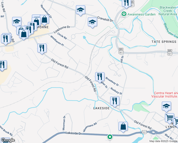 map of restaurants, bars, coffee shops, grocery stores, and more near 90 Halsey Road in Lynchburg