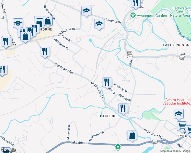 map of restaurants, bars, coffee shops, grocery stores, and more near 90 Halsey Road in Lynchburg