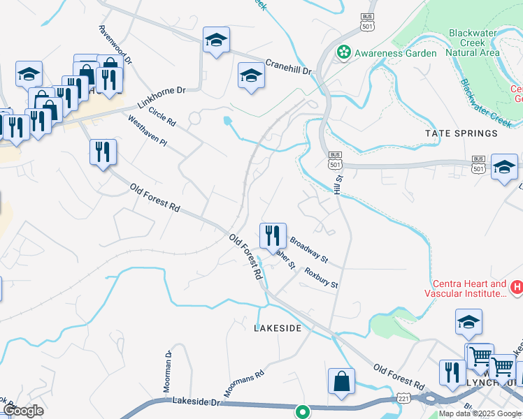 map of restaurants, bars, coffee shops, grocery stores, and more near 2937 Center Street in Lynchburg