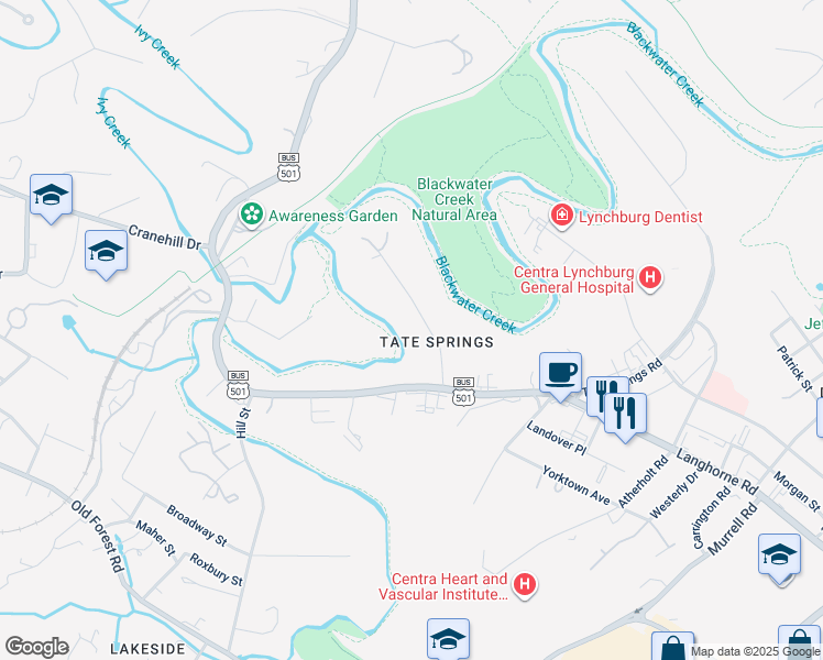 map of restaurants, bars, coffee shops, grocery stores, and more near 37 Clifton Street in Lynchburg