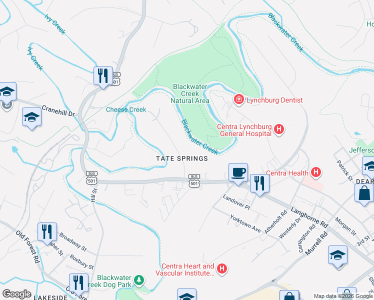 map of restaurants, bars, coffee shops, grocery stores, and more near 37 Clifton Street in Lynchburg