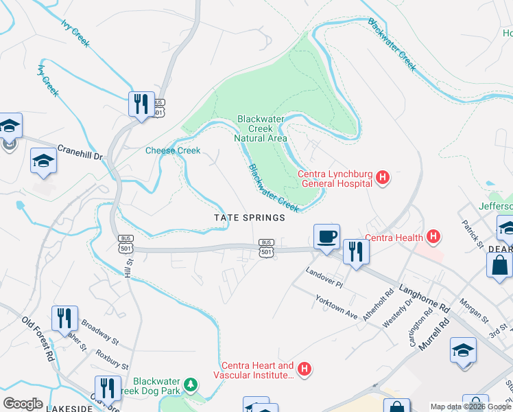 map of restaurants, bars, coffee shops, grocery stores, and more near 37 Clifton Street in Lynchburg