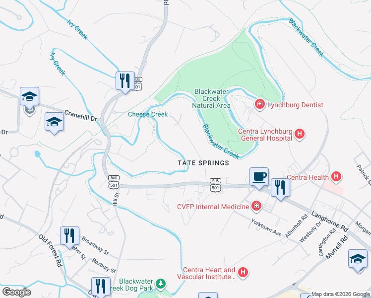 map of restaurants, bars, coffee shops, grocery stores, and more near 24 Clifton Street in Lynchburg