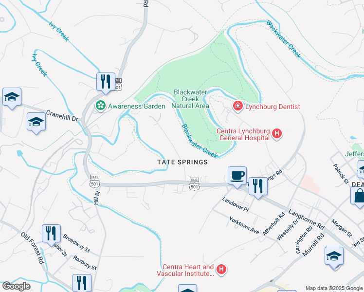 map of restaurants, bars, coffee shops, grocery stores, and more near 37 Clifton Street in Lynchburg