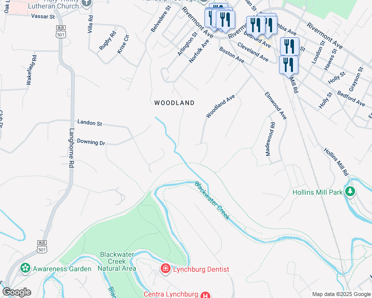 map of restaurants, bars, coffee shops, grocery stores, and more near 405 Randolph Place East in Lynchburg