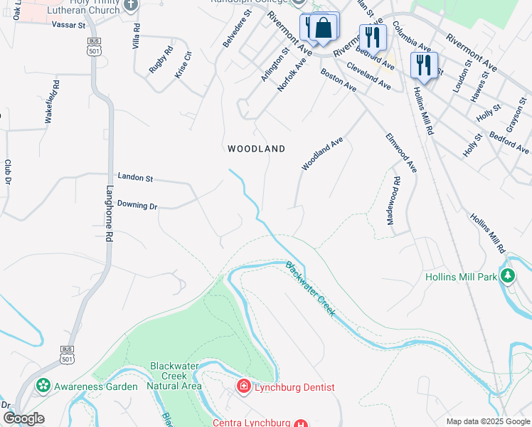 map of restaurants, bars, coffee shops, grocery stores, and more near 401 Randolph Place East in Lynchburg
