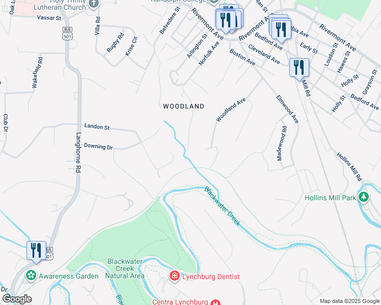 map of restaurants, bars, coffee shops, grocery stores, and more near 401 Randolph Place East in Lynchburg