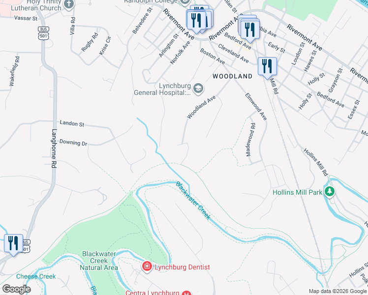 map of restaurants, bars, coffee shops, grocery stores, and more near 394 Woodland Ave in Lynchburg