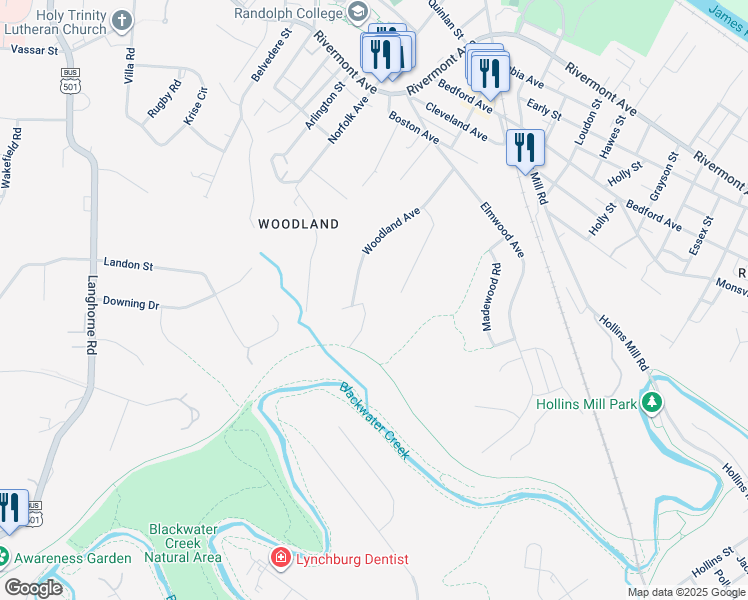 map of restaurants, bars, coffee shops, grocery stores, and more near 398 Randolph Place East in Lynchburg