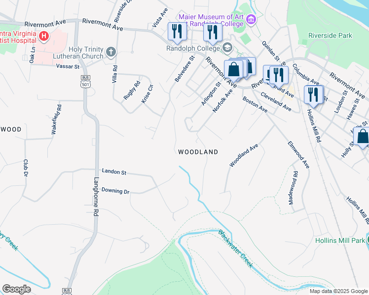 map of restaurants, bars, coffee shops, grocery stores, and more near 507 Norfolk Avenue in Lynchburg