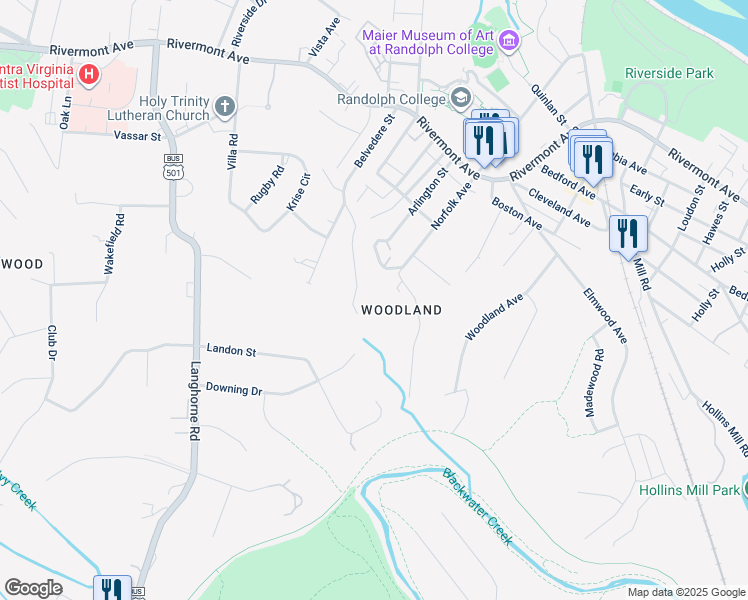 map of restaurants, bars, coffee shops, grocery stores, and more near 507 Norfolk Avenue in Lynchburg