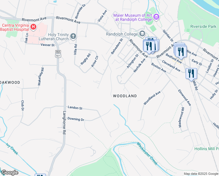 map of restaurants, bars, coffee shops, grocery stores, and more near 510 Charles Street in Lynchburg
