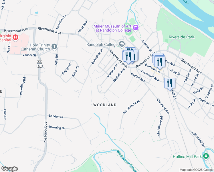 map of restaurants, bars, coffee shops, grocery stores, and more near 341 Norfolk Avenue in Lynchburg