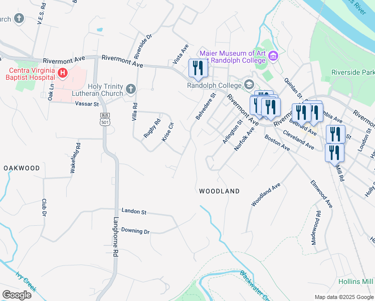 map of restaurants, bars, coffee shops, grocery stores, and more near 508 Belvedere Street in Lynchburg