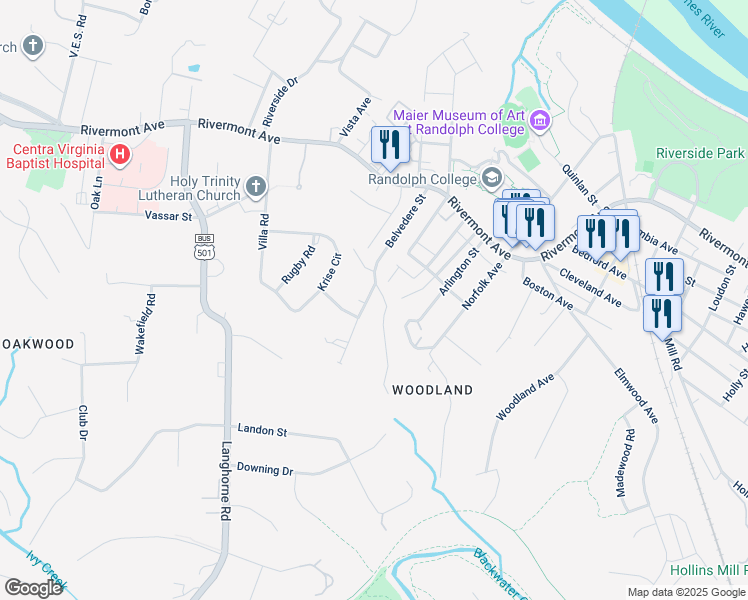 map of restaurants, bars, coffee shops, grocery stores, and more near 403 Belvedere Street in Lynchburg