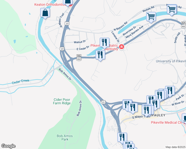 map of restaurants, bars, coffee shops, grocery stores, and more near 101 Renee Drive in Pikeville