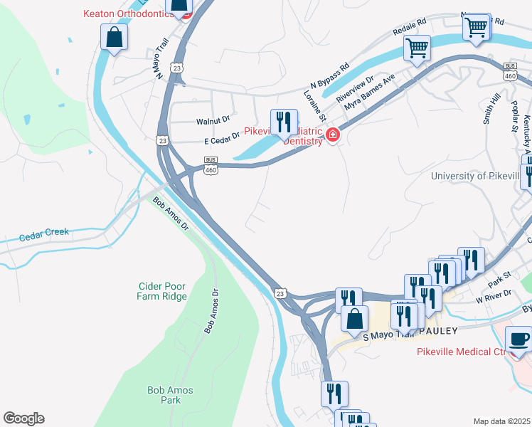map of restaurants, bars, coffee shops, grocery stores, and more near 101-199 Renee Drive in Pikeville