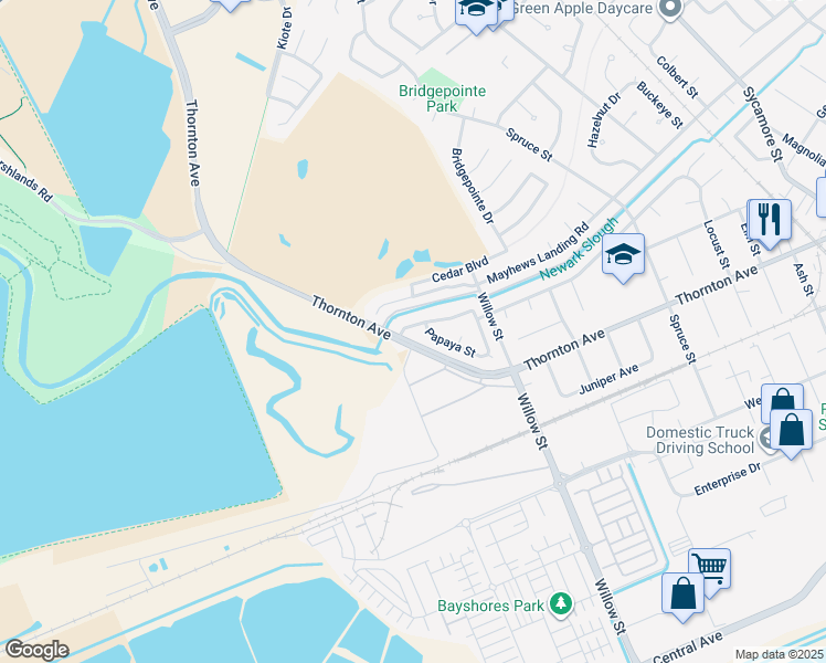 map of restaurants, bars, coffee shops, grocery stores, and more near 36999 Papaya Street in Newark