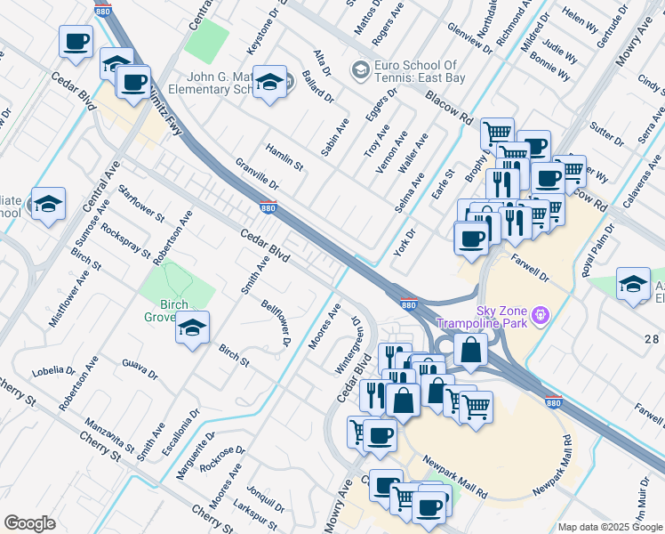 map of restaurants, bars, coffee shops, grocery stores, and more near 38533 Amaranto Street in Newark