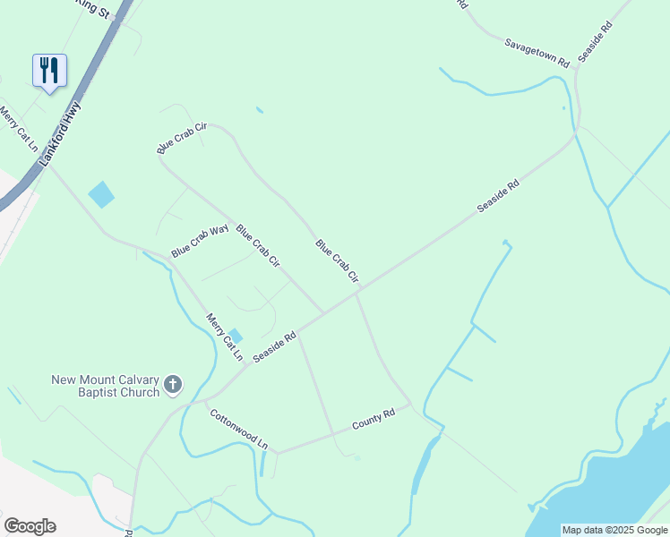 map of restaurants, bars, coffee shops, grocery stores, and more near 37704 Blue Crab Circle in Painter