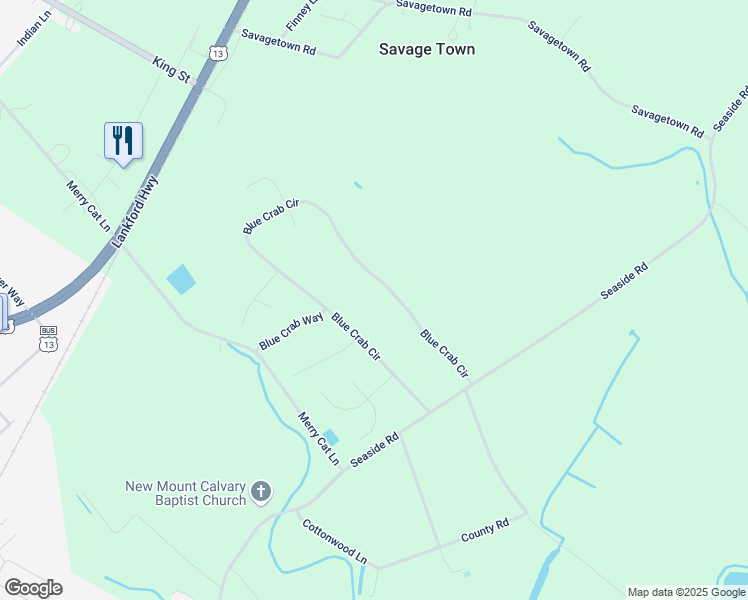 map of restaurants, bars, coffee shops, grocery stores, and more near 37704 Blue Crab Circle in Painter
